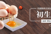 德州和膳生態(tài)農(nóng)業(yè)有限公司堅持"誠實守信"的原則為廣大客戶提供優(yōu)質(zhì)的服務(wù)